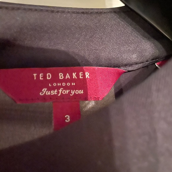 Ted Baker London Pleated Skater Dress with Mesh Panel Cap Sleeves - Picture 5 of 5